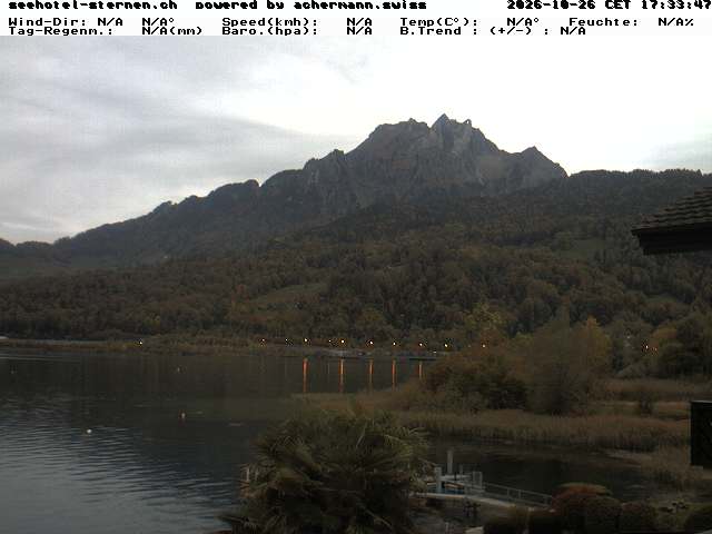 Camera Live Image